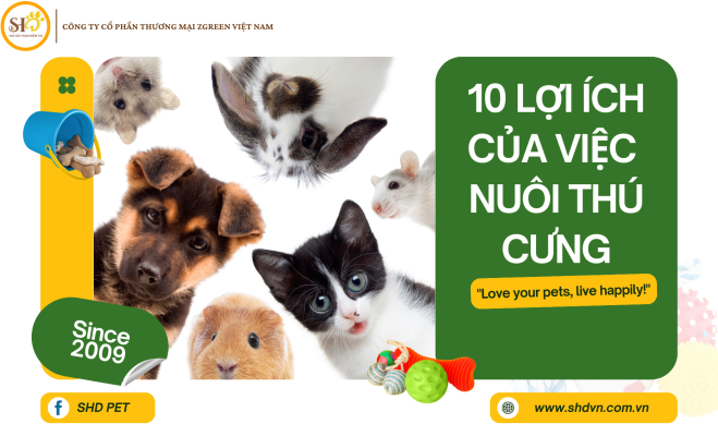 lợi ích khi nuôi thú cưng