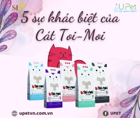 5 sự khác biệt của cát toi-moi