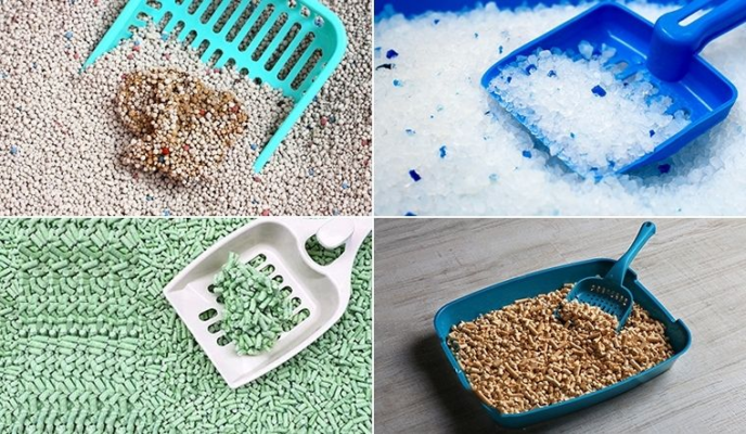 CÁCH SỬ DỤNG CÁT VỆ SINH CHO MÈO
