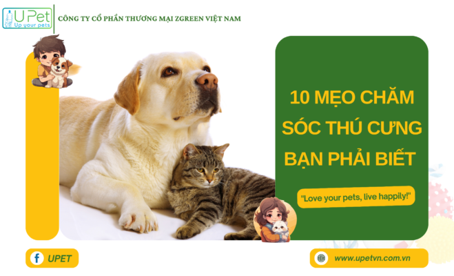 10 mẹo chăm sóc thú cưng