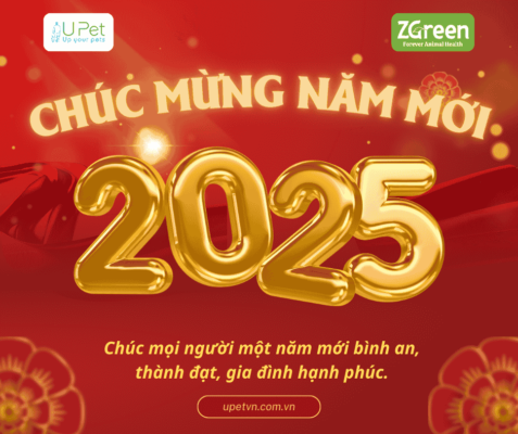 Upet - Chúc Mừng Tết Dương Lịch 2025