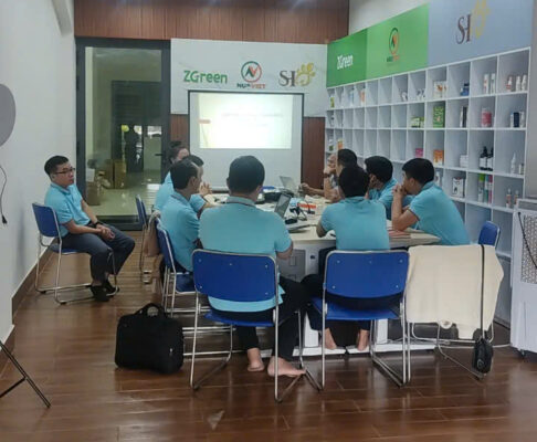 Tổng Kết Năm 2024 và Kế Hoạch Hướng Tới Năm 2025 Của ZGreen 