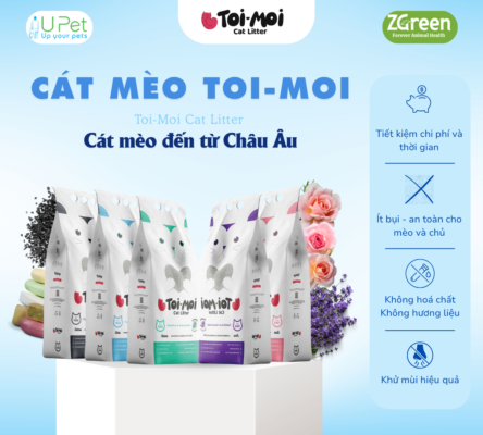 Cát mèo Toi-Moi có tốt không? Review thực tế từ người dùng & phân tích chuyên sâu