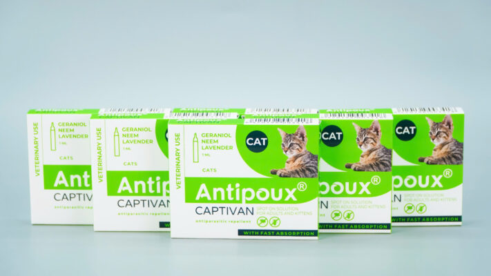 ANTIPOUX CAPTIVAN CAT là gì? Công dụng và cách dùng thuốc nhỏ gáy trị ve, bọ chét cho mèo
