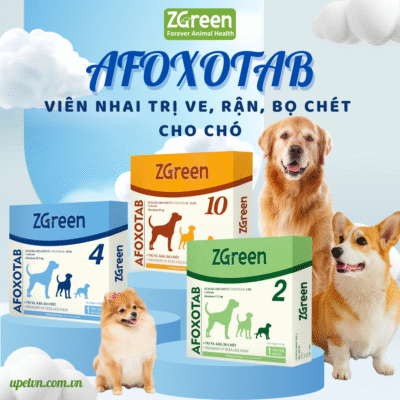 AFOXOTAB
