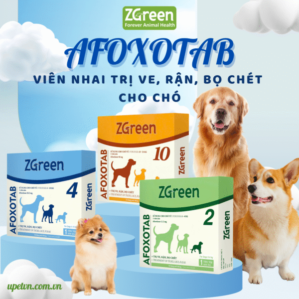 AFOXOTAB