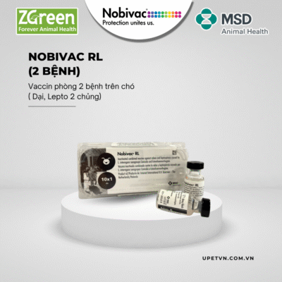 Vaccine 2 bệnh Nobivac RL cho chó