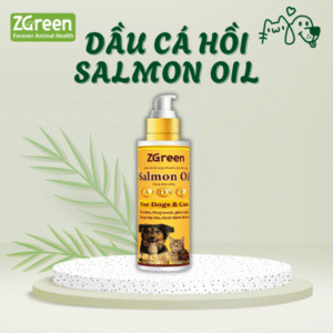 DẦU CÁ HỒI SALMON OIL