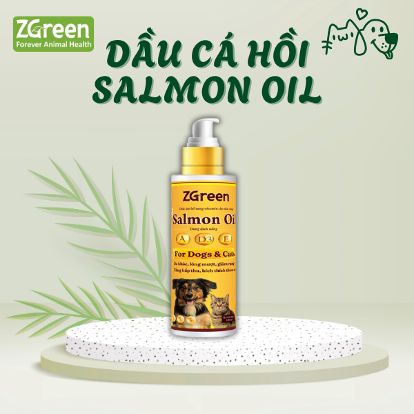 100 DẦU CÁ HỒI SALMON OIL