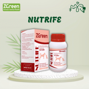 NUTRIFE - Hỗ trợ tạo máu, kích thích thèm ăn, phục hồi nhanh