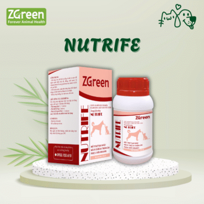 NUTRIFE - Hỗ trợ tạo máu, kích thích thèm ăn, phục hồi nhanh