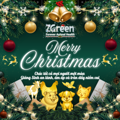 ZGreen Chúc Mừng Giáng Sinh – Lan Tỏa Yêu Thương Đến Ngành Chăn Nuôi, Thú Y Và Cộng Đồng Yêu Thú Cưng